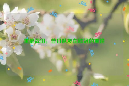 重聚战旧，昔日队友在欧冠的重逢