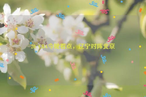 20. CBA今晚看点，辽宁对阵北京