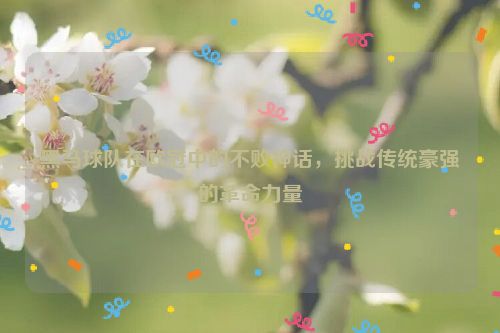 黑马球队在欧冠中的不败神话，挑战传统豪强的革命力量