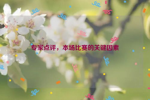 专家点评，本场比赛的关键因素