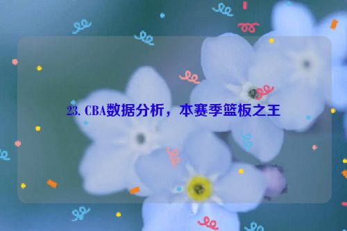 23. CBA数据分析，本赛季篮板之王