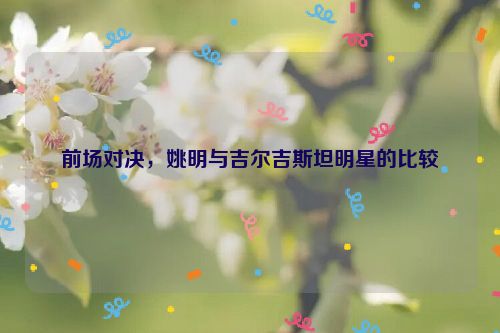 前场对决，姚明与吉尔吉斯坦明星的比较